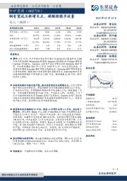 铜有望成为新增长点，碳酸锂稳步放量