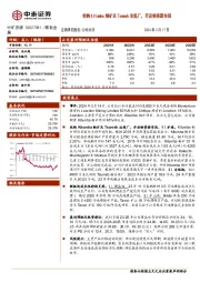 收购Kitumba铜矿及Tsumeb冶炼厂，开启铜资源布局