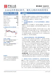 主业毛利率稳定提升,健民大鹏利润持续增长