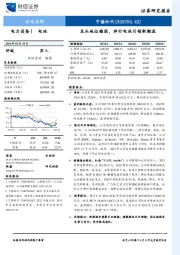 龙头地位稳固，神行电池引领新潮流