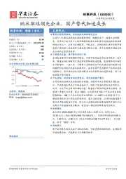 纳米微球领先企业，国产替代加速成长