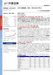 公司信息更新报告：全年业绩稳健，煤电一体化成长空间大