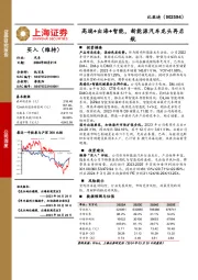 高端+出海+智能,新能源汽车龙头再启航
