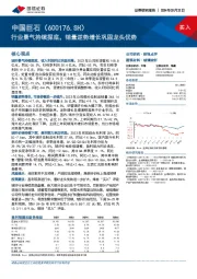 行业景气持续探底,销量逆势增长巩固龙头优势