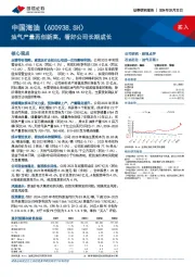 油气产量再创新高，看好公司长期成长