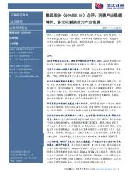 点评:消费产业稳健增长,多元化融资助力产业发展