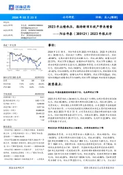 年报点评：2023年业绩承压，期待新项目投产带来增量