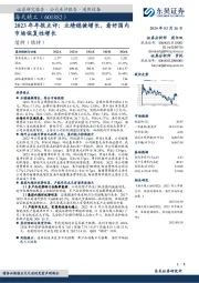 2023年年报点评：业绩稳健增长，看好国内市场恢复性增长