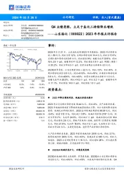 年年报点评报告:Q4业绩亮眼,立足于盐化工持续降本增效