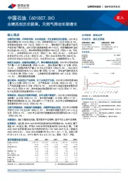 业绩再创历史新高,天然气推动长期增长