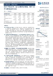 2023年报点评：Q4业绩符合预期，预计24年电解液盈利见底