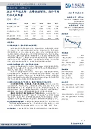 2023年年报点评：业绩快速增长，海外市场开拓成效显著