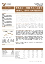 2023年收入业绩快速增长,国际化战略持续推进