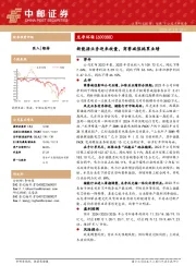 新能源业务迎来放量，商誉减值拖累业绩