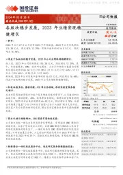 各版块稳步发展,2023年业绩实现稳健增长