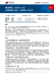价格管理能力突出,业绩增长工具充足