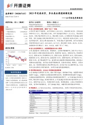 公司信息更新报告：2023年完美收官，多品类全渠道持续发展