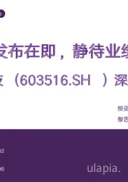 深度报告:自研芯片发布在即,静待业绩拐点出现