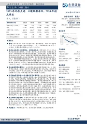 2023年年报点评：业绩短期承压，2024年拐点将至