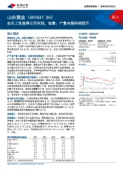 金价上涨增厚公司利润，储量、产量有望持续提升