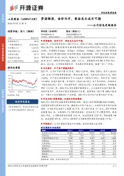 公司信息更新报告：资源铸盾，金价为矛，黄金龙头成长可期