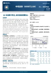 Q4业绩集中承压，股权激励提振信心