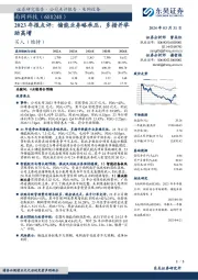 2023年报点评：储能业务略承压，多措并举助高增