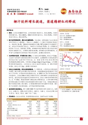 椰汁饮料增长提速，渠道精耕红利释放