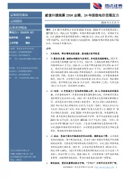 减值计提拖累23Q4业绩，24年面临电价回落压力