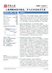 六氟磷酸锂盈利触底，多元化布局逐步完善