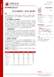 国内业务短期承压,海外收入稳步增长