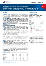 年报点评：格林布什锂矿调整定价机制，公司聚焦增产扩能