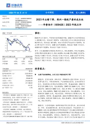 2023年业绩下滑，荆州一期投产看好成长性年报点评2023