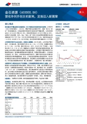 营收净利齐创历史新高，发展迈入新篇章