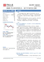 2023年业绩短期承压，海外市场增长亮眼