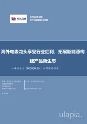 公司深度报告:海外电表龙头享受行业红利,拓展新能源构建产品新生态