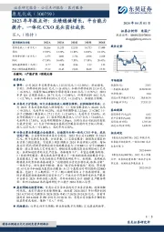 2023年年报点评:业绩稳健增长,平台能力提升,一体化CXO龙头茁壮成长