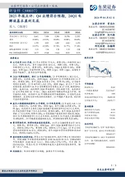 2023年报点评:Q4业绩符合预期,24Q1电解液基本盈利见底