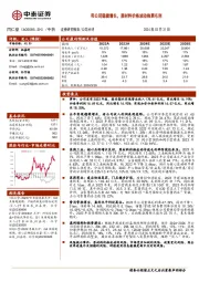 母公司稳健增长，原材料价格波动拖累毛利