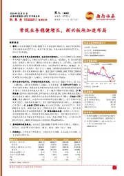 常规业务稳健增长,新兴板块加速布局