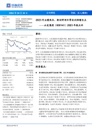 2023年业绩承压,新材料项目带来利润增长点年报点评2023