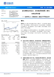 2023年年报点评:扁电磁线全球龙头,清洁能源领域第二增长曲线成果显著