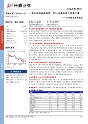 公司信息更新报告：大乌江战略持续推进，2024年盈利能力有望改善