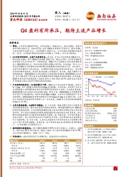 2023年年报点评：Q4盈利有所承压，期待主流产品增长