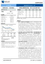 短期业绩增速放缓，海外业务发展可期