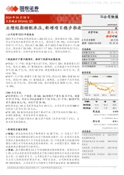 业绩短期错配承压,新增项目稳步推进