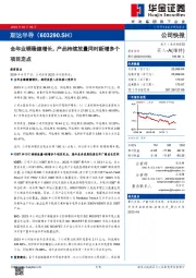 全年业绩稳健增长，产品持续放量同时新增多个项目定点