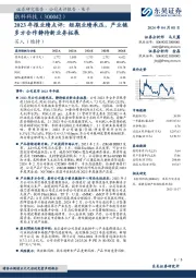 2023年报业绩点评：短期业绩承压，产业链多方合作静待新业务拓展