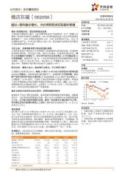 磁材+锂电稳步增长，光伏深耕欧洲实现盈利高增