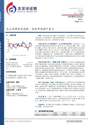 自主品牌表现亮眼,深度布局国产算力